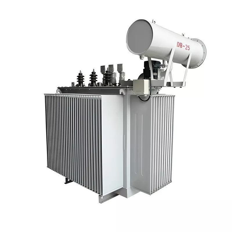 800KVA 35KV تھری فیز آئل ڈوبی ڈسٹری بیوشن ٹرانسفارمر